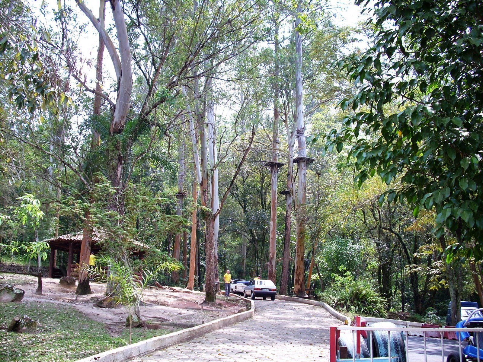 Águas de São Pedro Bosque de Águas de São Pedro