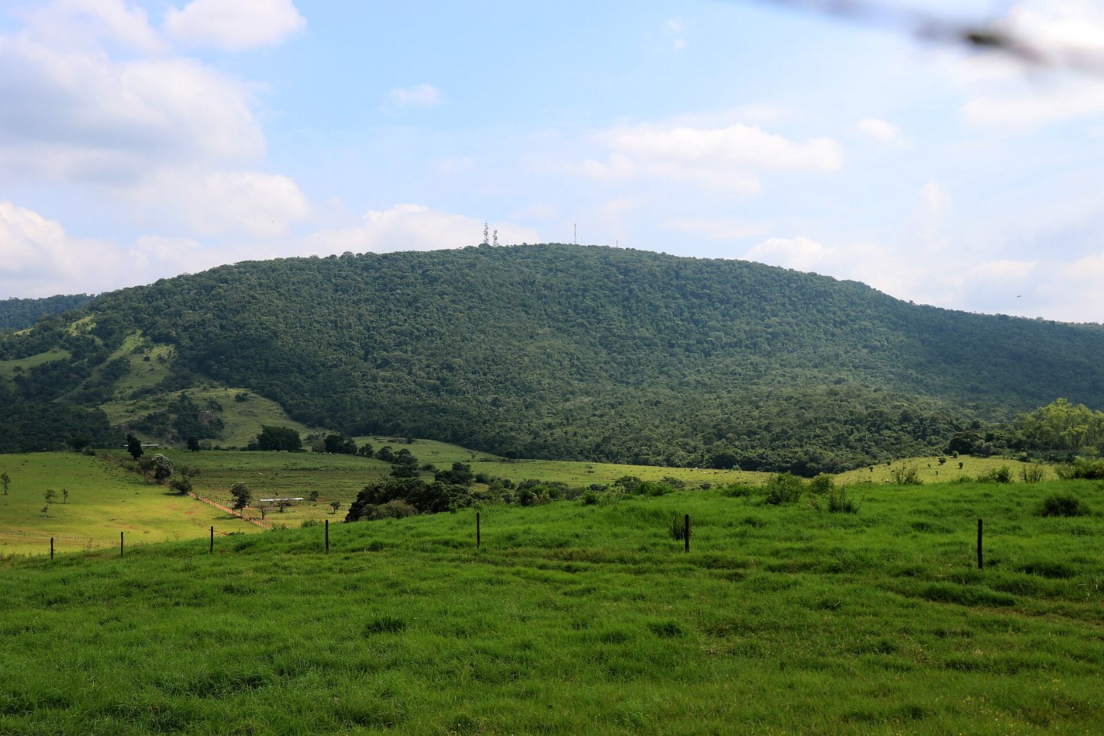 Morro de Araçoiaba na Floresta Nacional de Ipanema