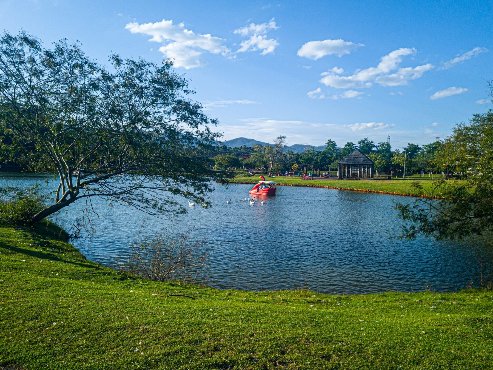 Lago do Parque do Centenário da Imigração Japonesa, em Mogi das Cruzes