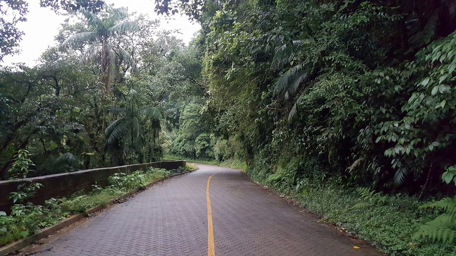 Estrada Parque do Carlos Botelho, em Sete Barras